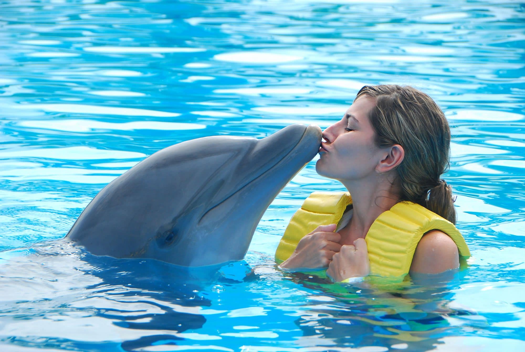 Schwimmen mit Delfinen