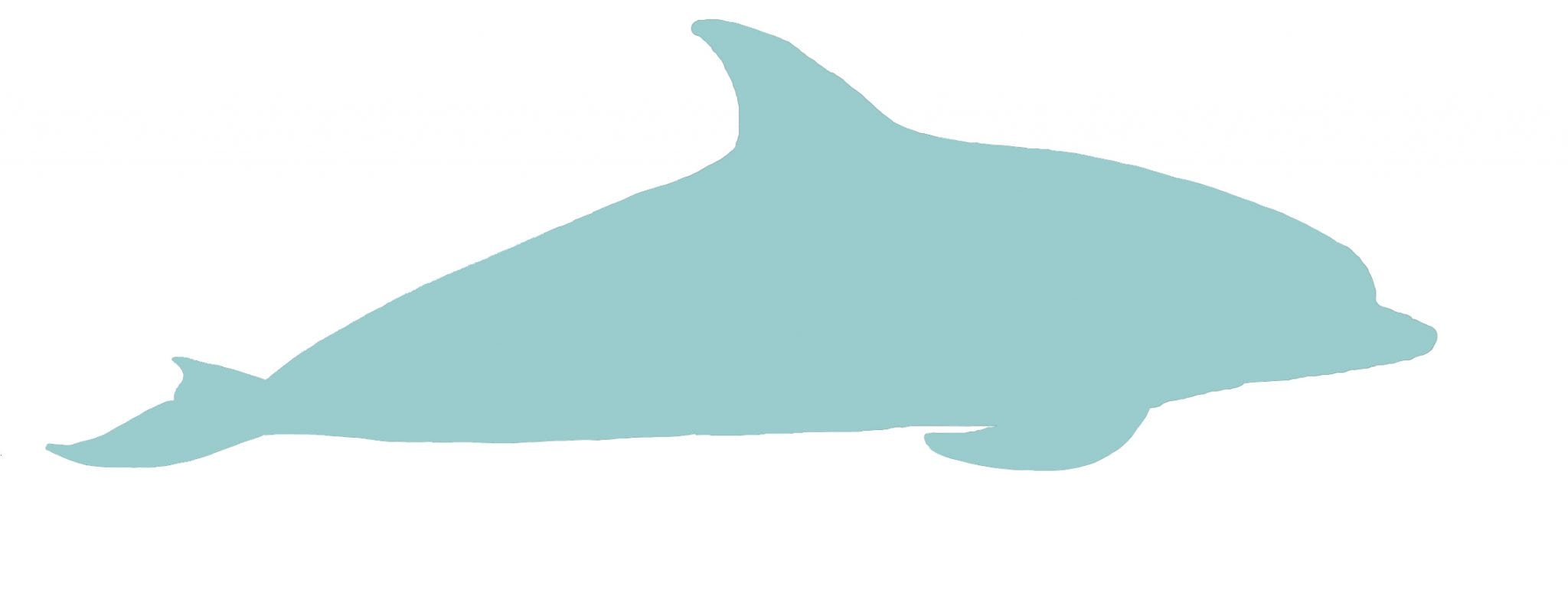 Oceanic dolphin silhouette
