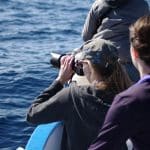 2017-03-Pressereise-WDC-LaGomera-WhaleWatching (8)