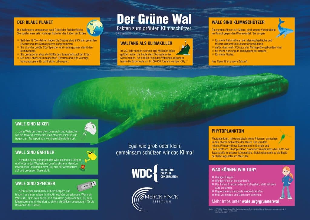 gruener-wal-infoposter