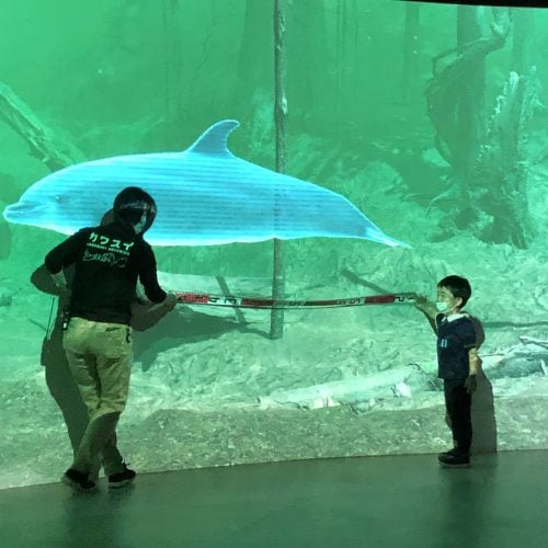 Kawasui-Aquarium-Kawasaki_Light-Animal-Exhibition-Amazon-River-Dolphin5