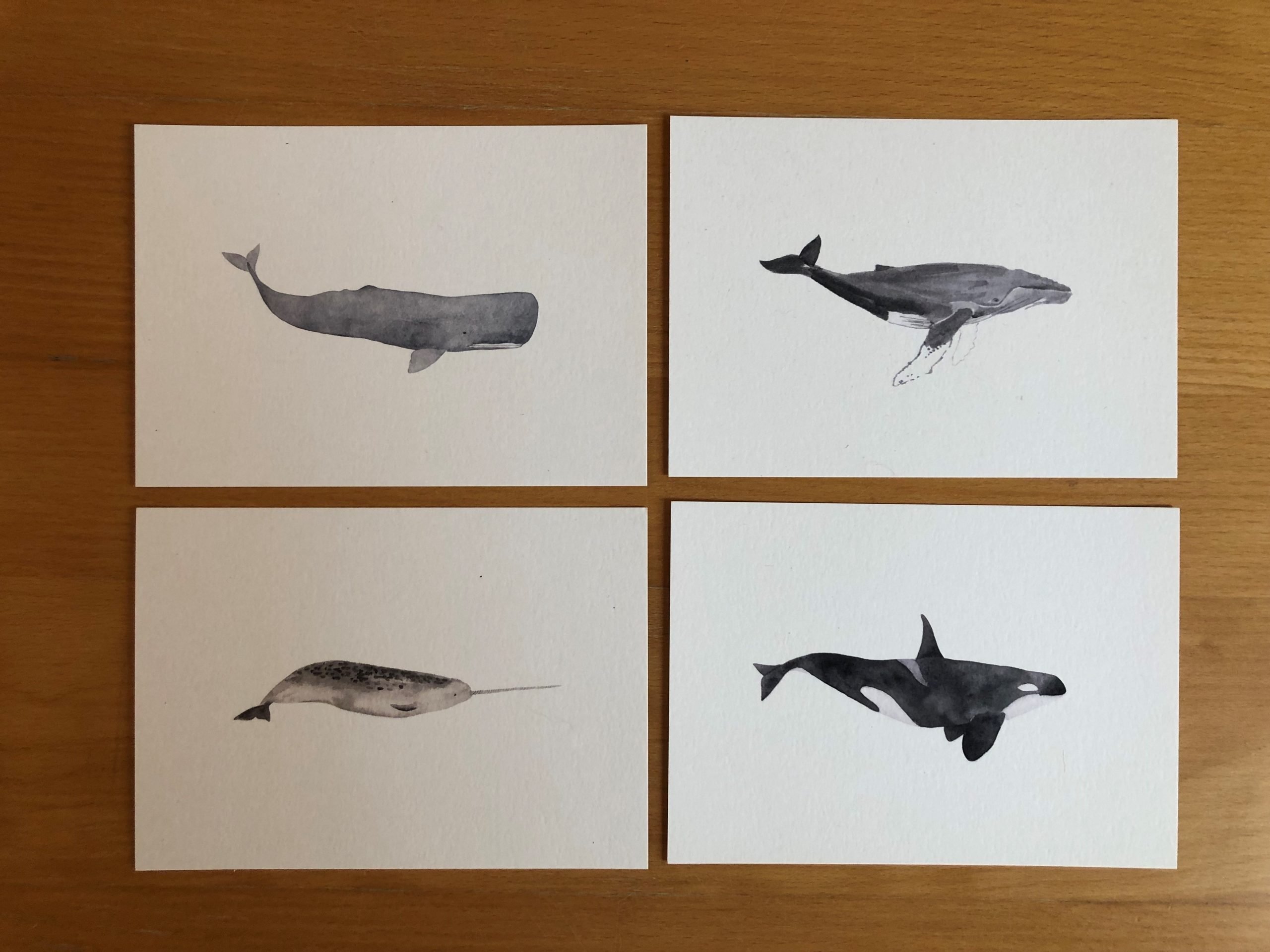 Postkarten-Set "Wale", Vorderseite
