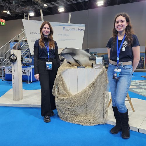 Teresa und Luana von WDC stehen vor den Schweinswal-Modellen auf der boot