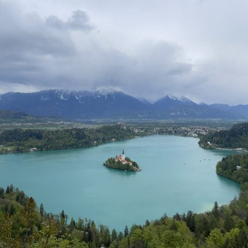 Die IWC-Tagung fand in Slowenien beim Bleder See statt. © WDC