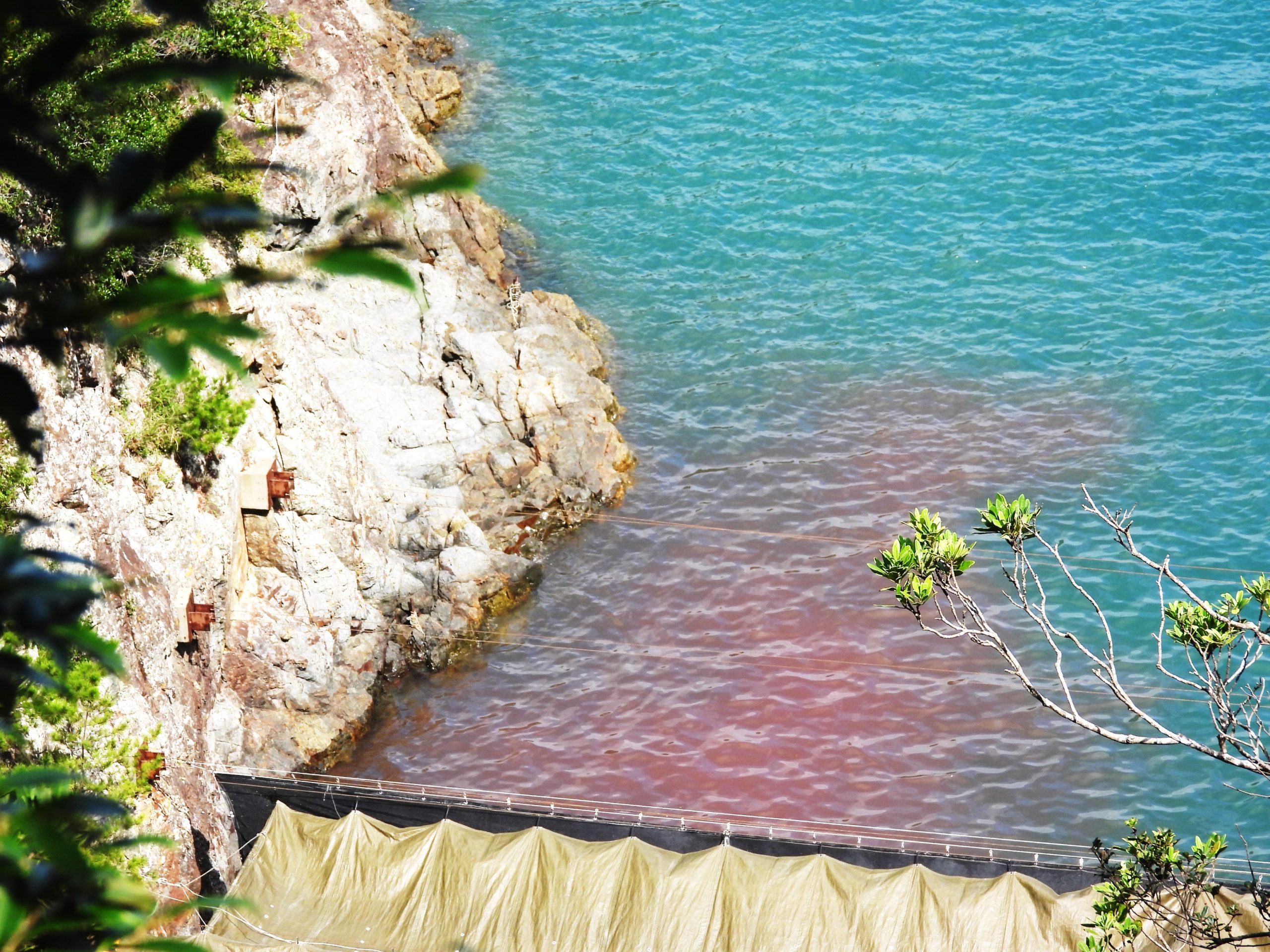 Treibjagd in Taiji © Kunito