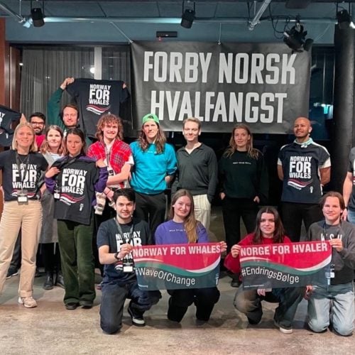 Norwegische Walschützer:innen