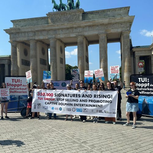 TUI-Demo Brandenburger Tor