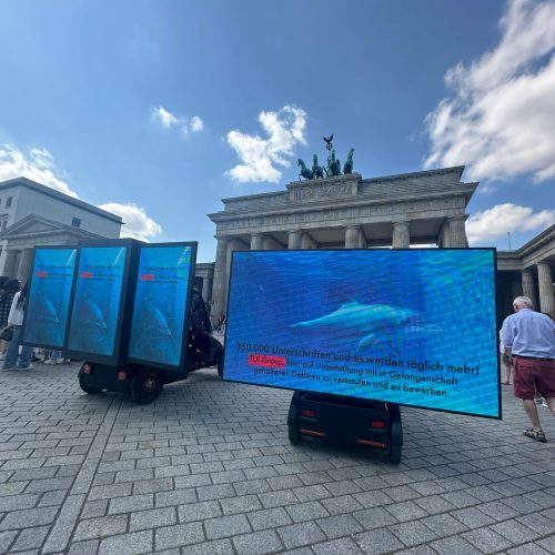LED Screens mit Delfin