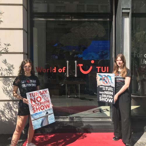 Zwei Demonstrant:innen