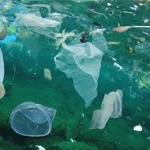 Plastikmüll im Meer