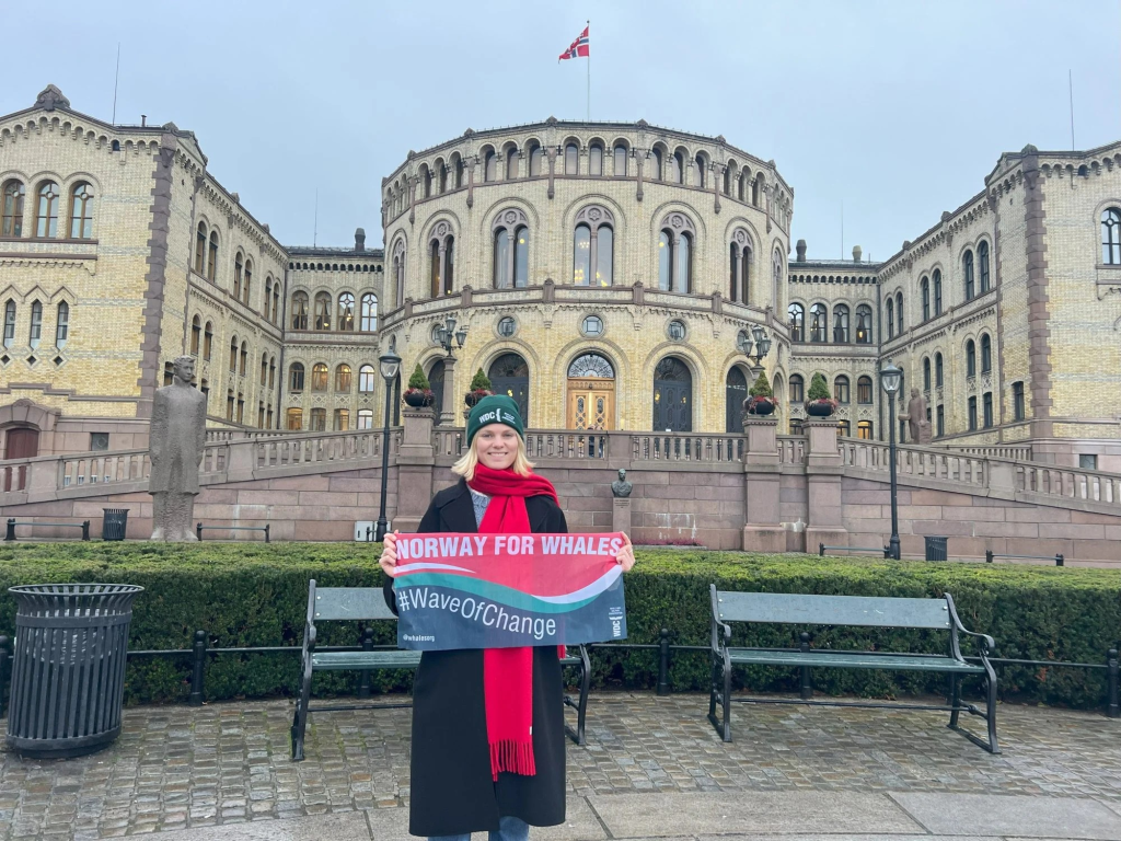 Frau mit Banner vor Parlamentsgebäude