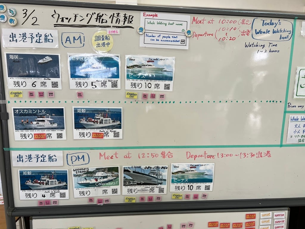 Organisationsboard für Bootsausfahrten