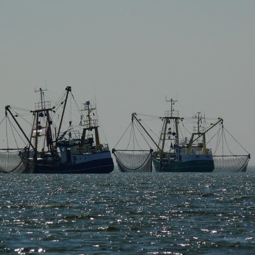 Zwei Fischkutter versenken Schleppnetze ins Meer. © Pixabay / Moritz 320