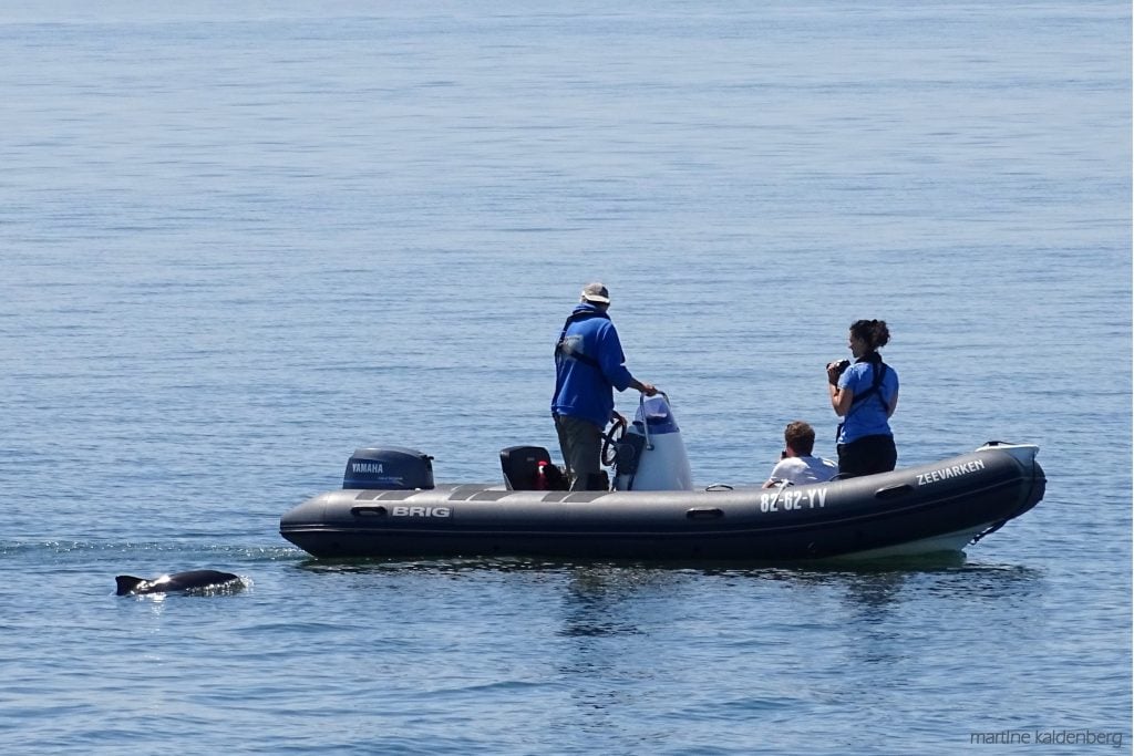 Das Foto-ID-Team mit dem Boot "Zeevarken". © M. Kaldenberg / Rugvin Foundation