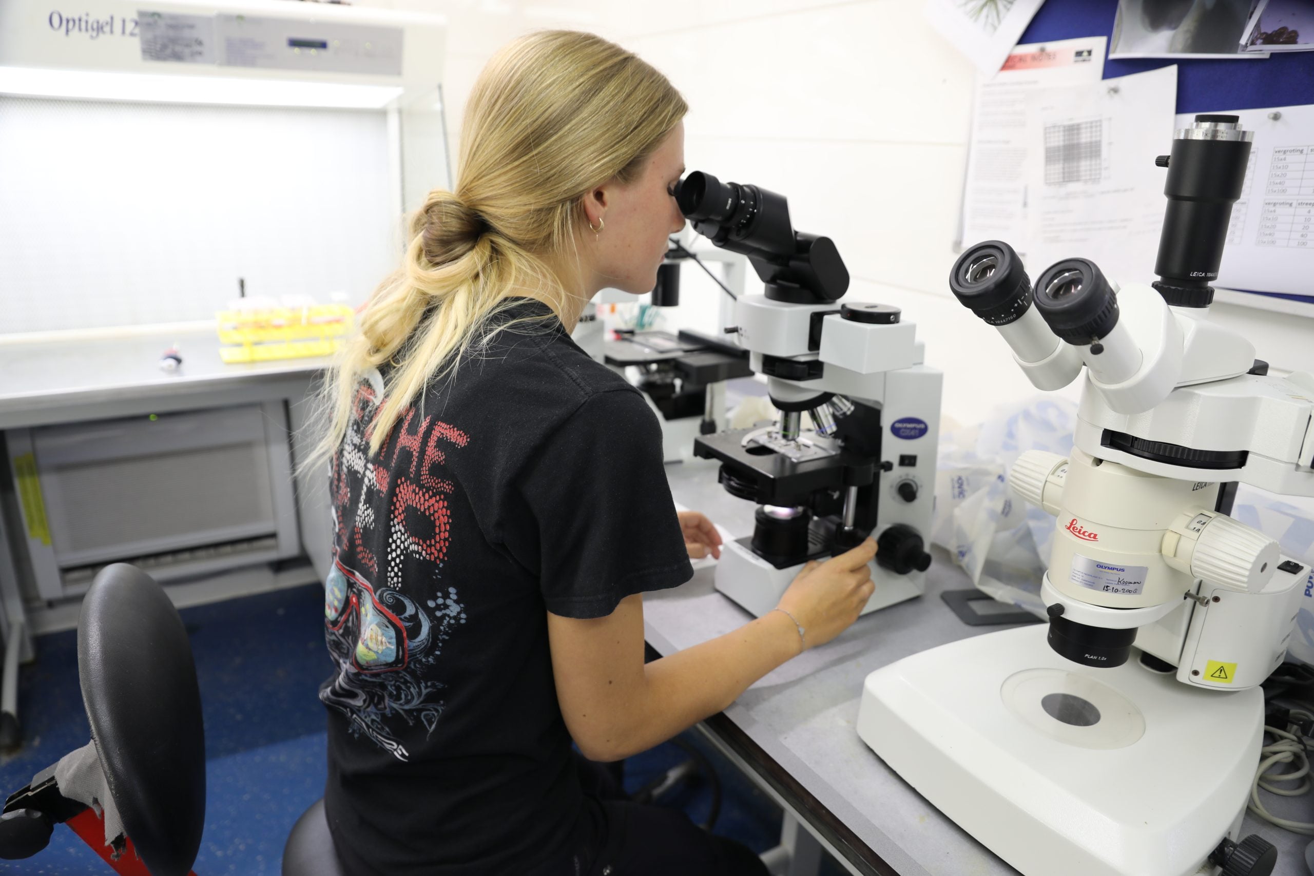 Laborarbeit © Stichting Rugvin