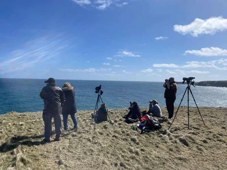 Eine Gruppe Menschen steht an einer Steilküste und blickt durch Kameras oder Ferngläser aufs Meer; eine Kamera ist auf ein Stativ montiert, der Himmel ist blau