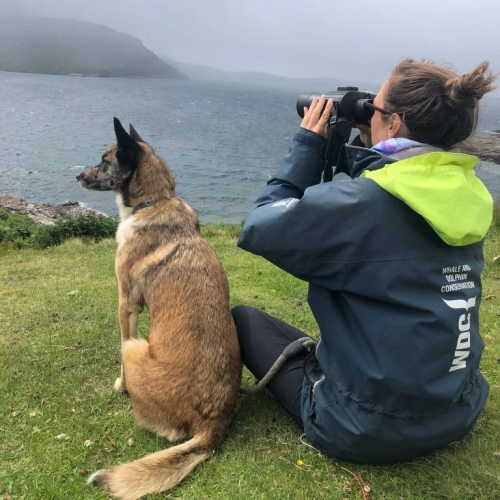 Frau sitzt neben Hund auf Wiese an Steilküste und beobachtet mit einem Fernglas das Meer