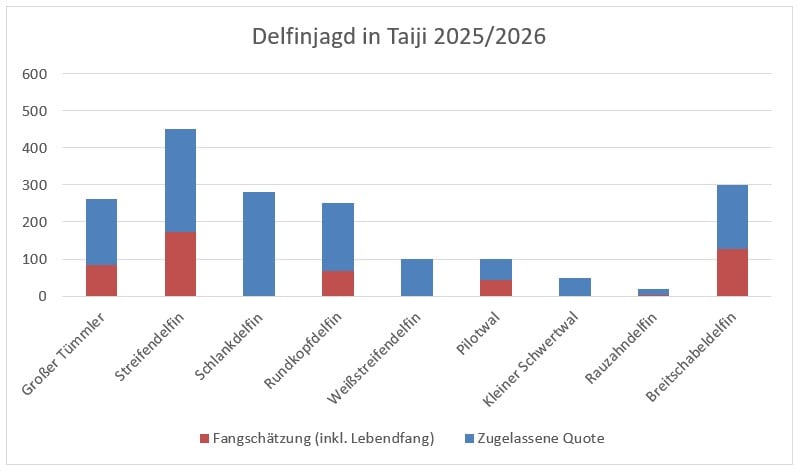 Diagramm stellt die tatsächlich gefangene Anzahl einer Delfin- bzw. Wal-Art im Verhältnis zur Quote aus der Saison 2025/2026 dar; aufgeführt sind neun verschiedene Arten
