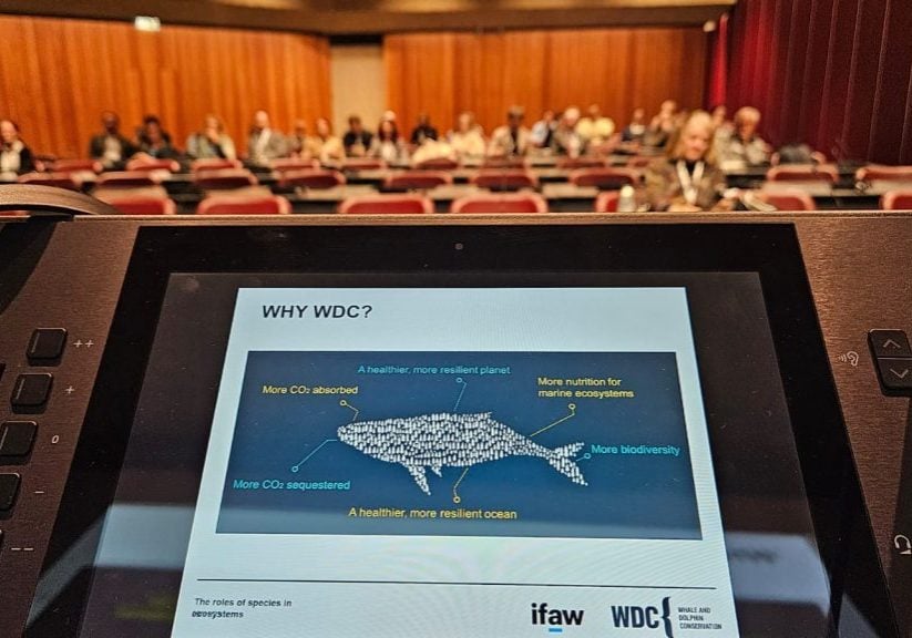 WDC präsentiert bei CITES