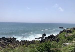 Die wilde Küste der südkoreanischen Insel Jeju zeigt sich in ihrer ganzen Pracht.