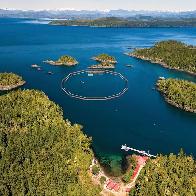 Das Meeresrefugium für Orca Corky in Double Bay, Kanada, steht bereit. © doublebaysanctuary.org