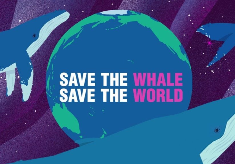 Save the whale, save the world!