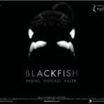 blackfish Dokumentation