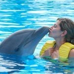 woman-kissing-dolphin